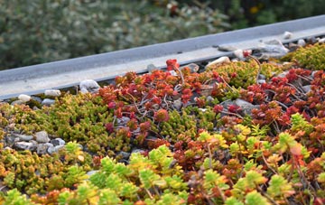the cost of Dunmere green roof installation