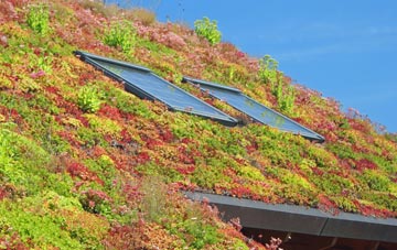 Dunmere living roof systems