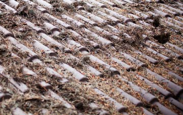 Dunmere roof cleaning companies