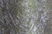 Dunmere fibreglass roof work