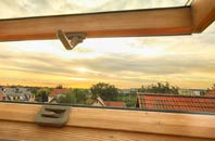 rated Dunmere roof window companies